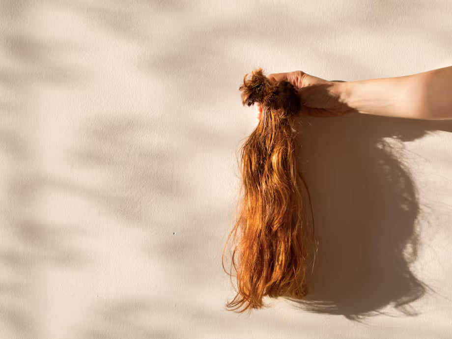 Hair Loss & Growth