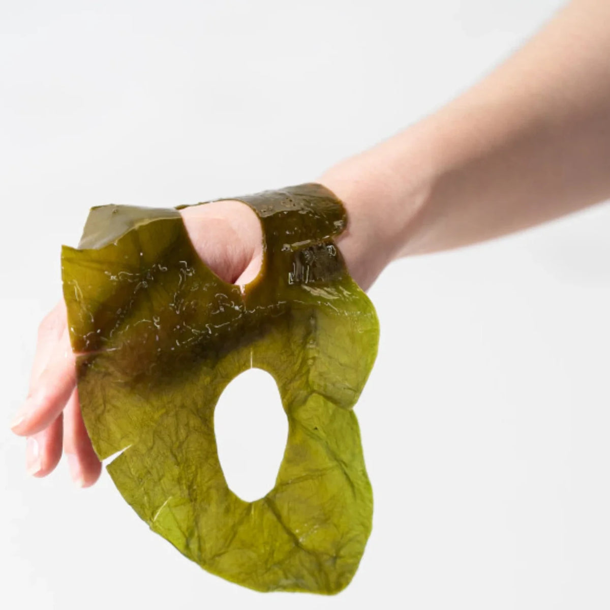 Whamisa Organic Kelp Mask
